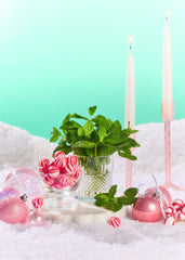 Merry Mint Moisturizing Shave Oil